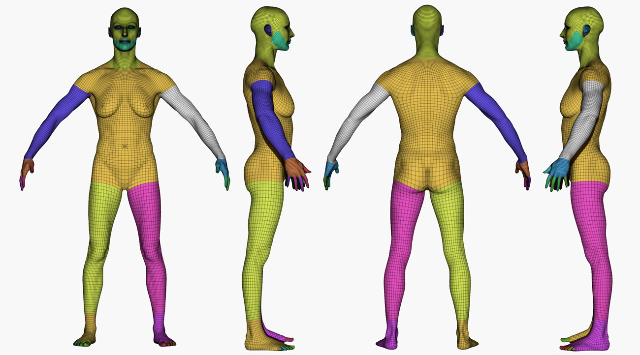 Download retopologised 3d body model for Zbrush
